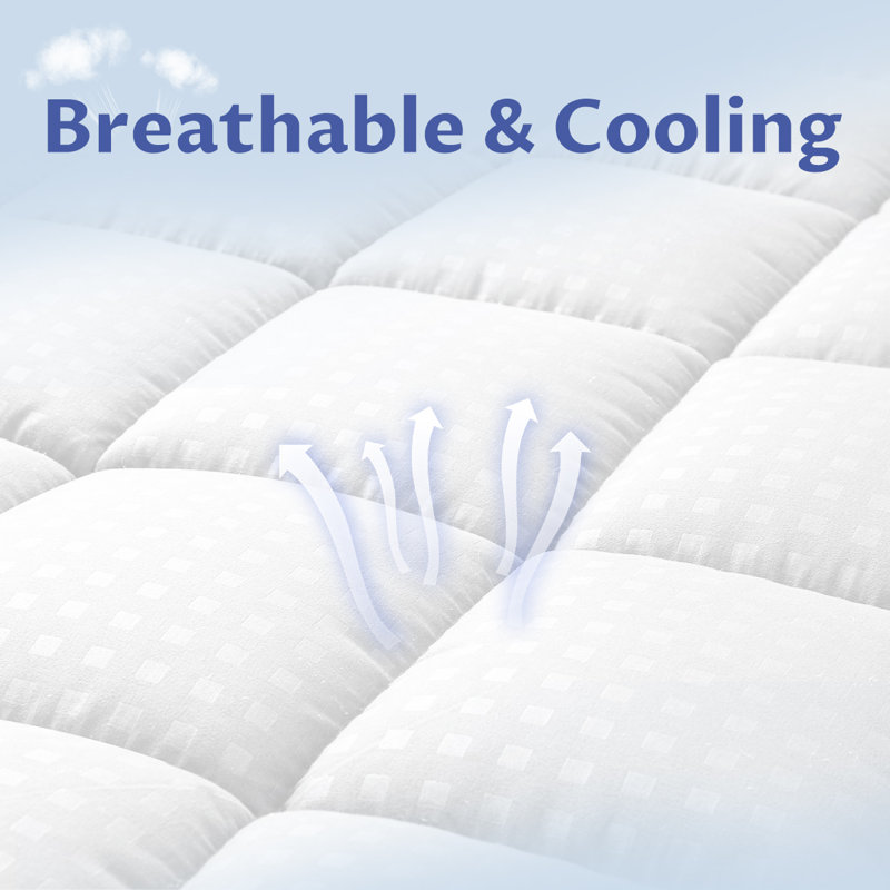 Surmatelas et couvre-matelas Crotty, Double TG