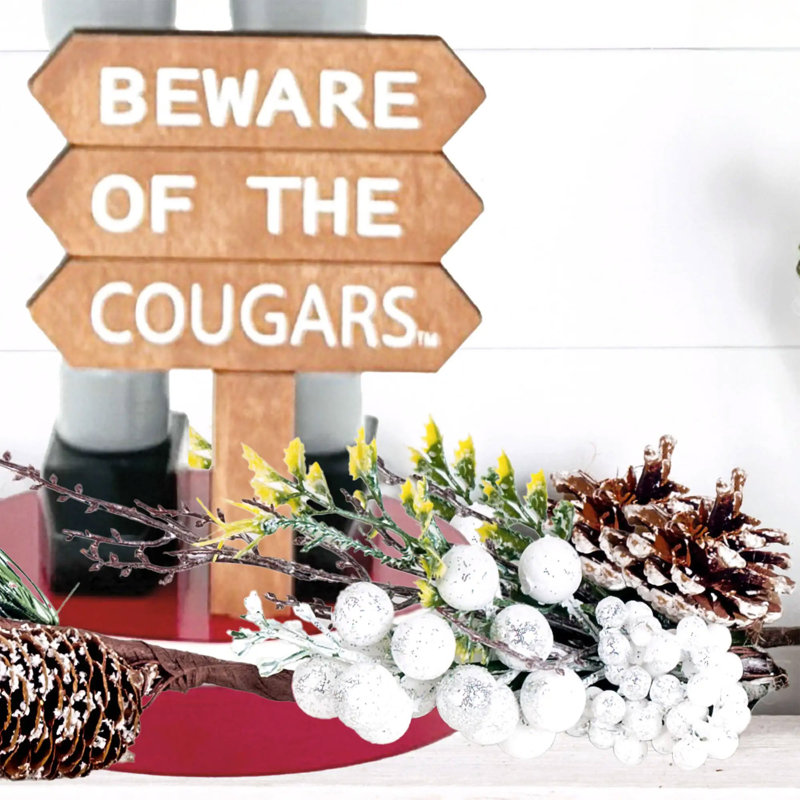 Casse-noisette 12 "NCAA College Spirit Beware, WSU
