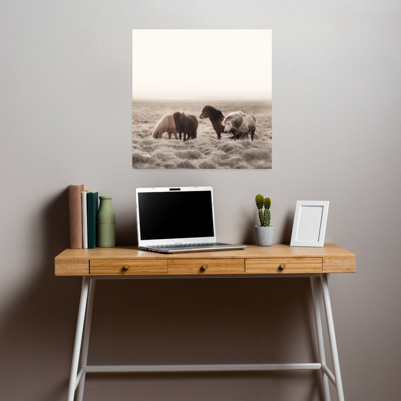 Islande, cheval sauvage crème, art mural contemporain, 18" H x 18" W