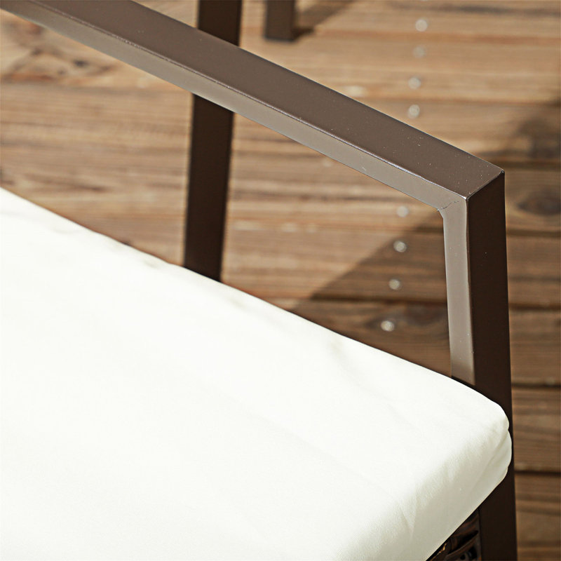 Ensemble de 2 chaises d'extérieur avec coussins
