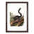 Walnut Framed