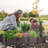 63x16 Inch Large Raised Planter Box Outdoor Self Watering Deep Raised Garden Bed with Drainage Plug Perfect for Patio Balcony Deck