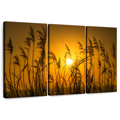 Alvord Golden Light Over The Reeds