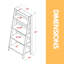 Nishan 140 cm H x 61 cm W Bookcase