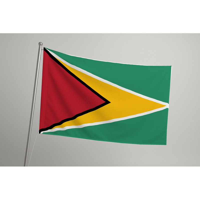 Drapeau de la Guyane - Drapeau extérieur