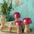 Metallic Red Top Mushrooms