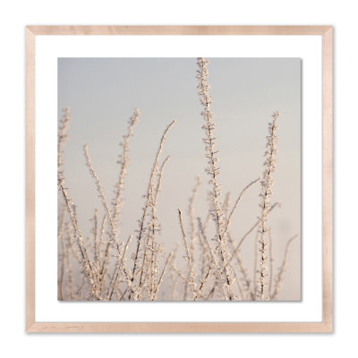 Hoar Frost White Print by Pernille Westh