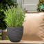 Egg Garden Reinforced Stone Round Planter, Outdoor Plant Pot-1669766808-1669766809