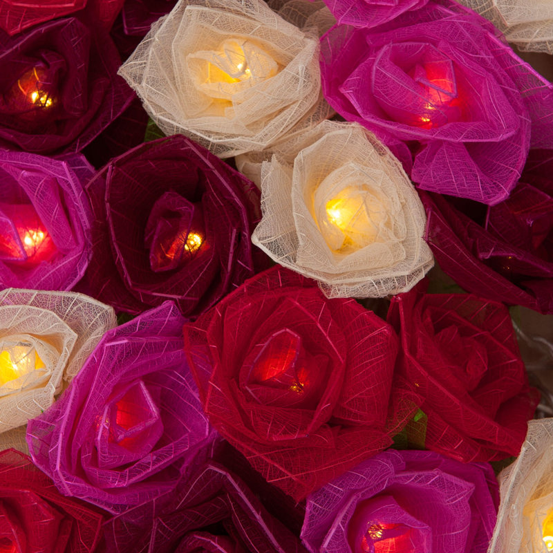 Dov LED Natural Leaf Rose String Light, 30 Lamps - 8 Metre Long