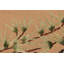 One-of-a-Kind Rectangle 6'1” X 9'1” Area Rug