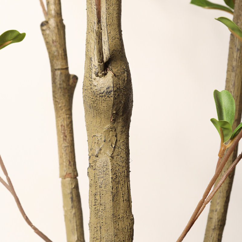 Olive artificielle Crecent 5 pi avec pot pour la décoration intérieure