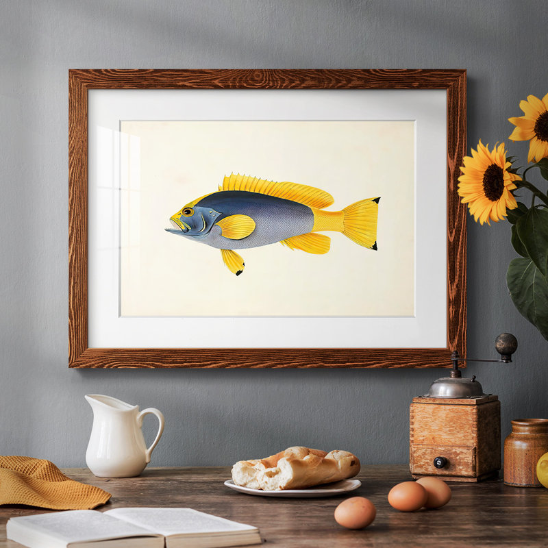 " Tropical Fish Collection V ", 14" H x 20" W, Maple
