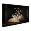 « Lepidopterology », reproduction de photo sur toile tendue-22371927