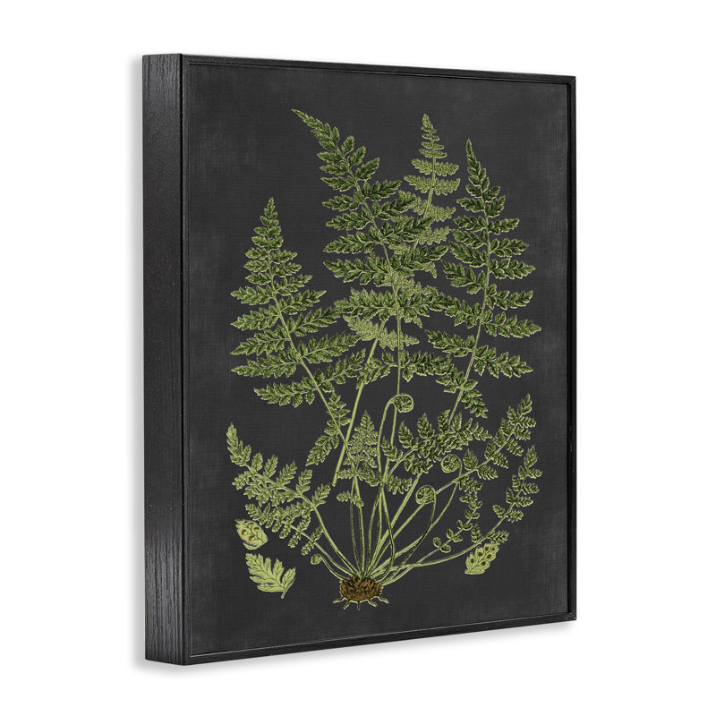 «Botanical Dessin Green Black Design», impression, Giclée encadrée noir minuit, H 14 po x l 11 po