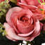 Ensemble de roses 19 po-122649038