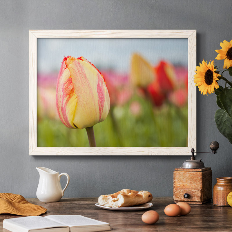 Spring Sherbet - reproduction de photo sur toile, H 18 po x l 26 po, Blanc