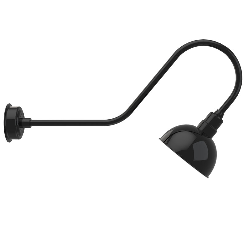 Dipkarpaz LED Wall Light, 12" H x 10" W x 36" D, Black