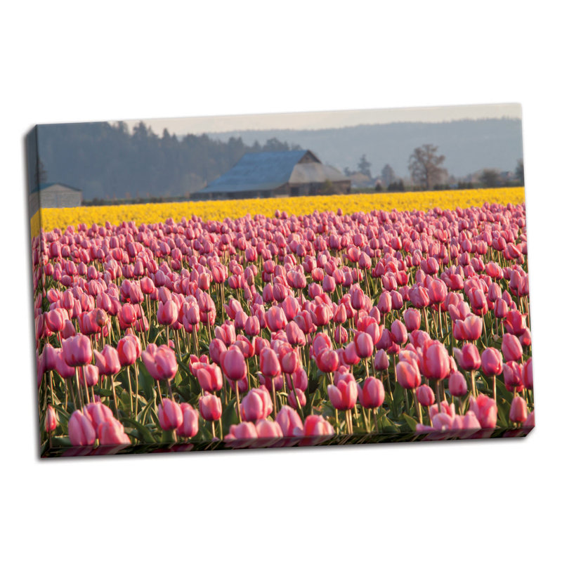 «In the Pink», reproduction de photo sur toile tendue