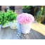 Dissimulateurs de fleurs en pot pivoines-1381601907