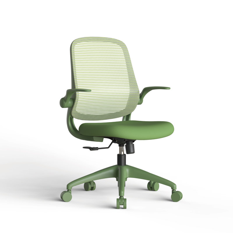 Chaise de bureau ergonomique ergonomique, Vert, Vert