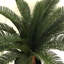Anlin 70cm Faux Cycas Tree in Pot