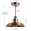 Luminaire suspendu simple à 1 lumière Vickie-1428746798