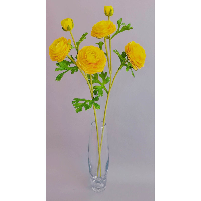 RENOUNCULE NAT.TCH FRESH-TOUCH X3 24", Yellow
