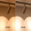 Tête d'éclairage à DEL à intensité variable de 16,5 W compatible avec un projecteur de rail de type H à circuit unique pour une exposition d'art mural décorative-54119475-64856550