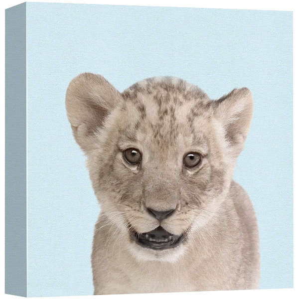 Idea4wall Lion Cub - Wrapped Canvas Print 