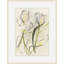 Plants & Flowers Print by Claudia Lowry-305222015