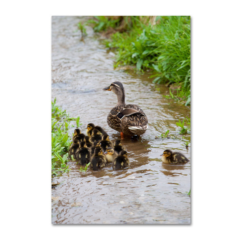 Baby Duck Family on Canvas Art in Light Brown Frame