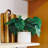 4.7'' Faux Philodendron Plant in Ceramic Pot