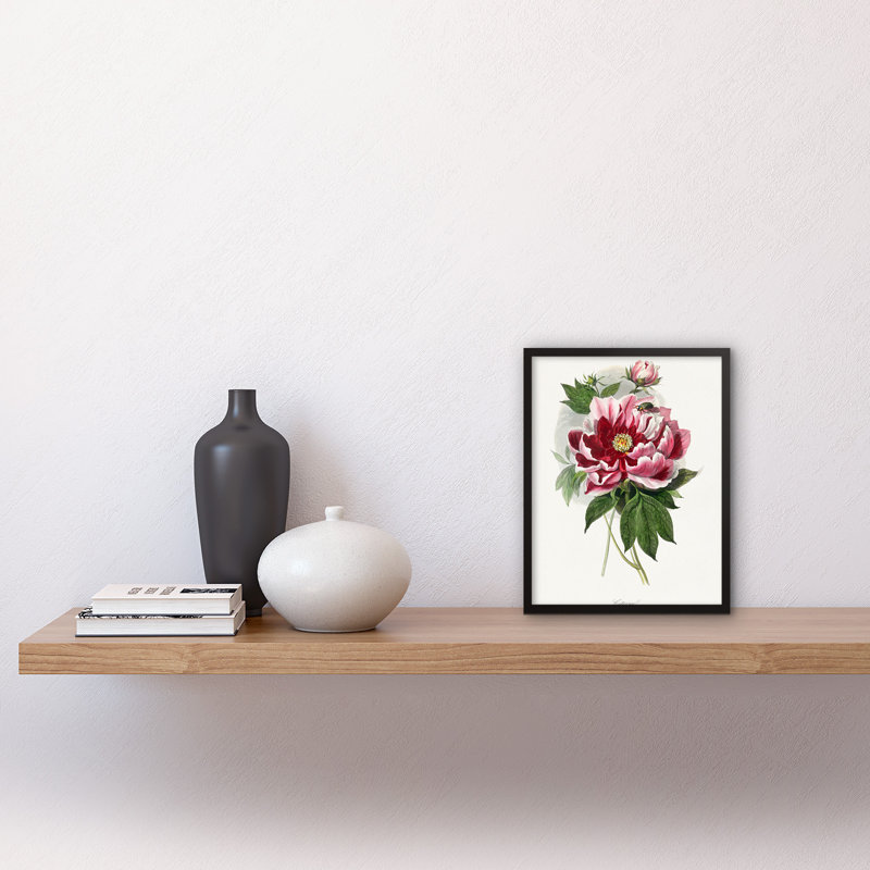 Pink Red Peony Bloom Flowers Floral - Single Picture Frame Print, 25.9cm H x 20.6cm W x 1.5cm D