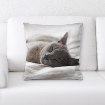 Coussin pour chat