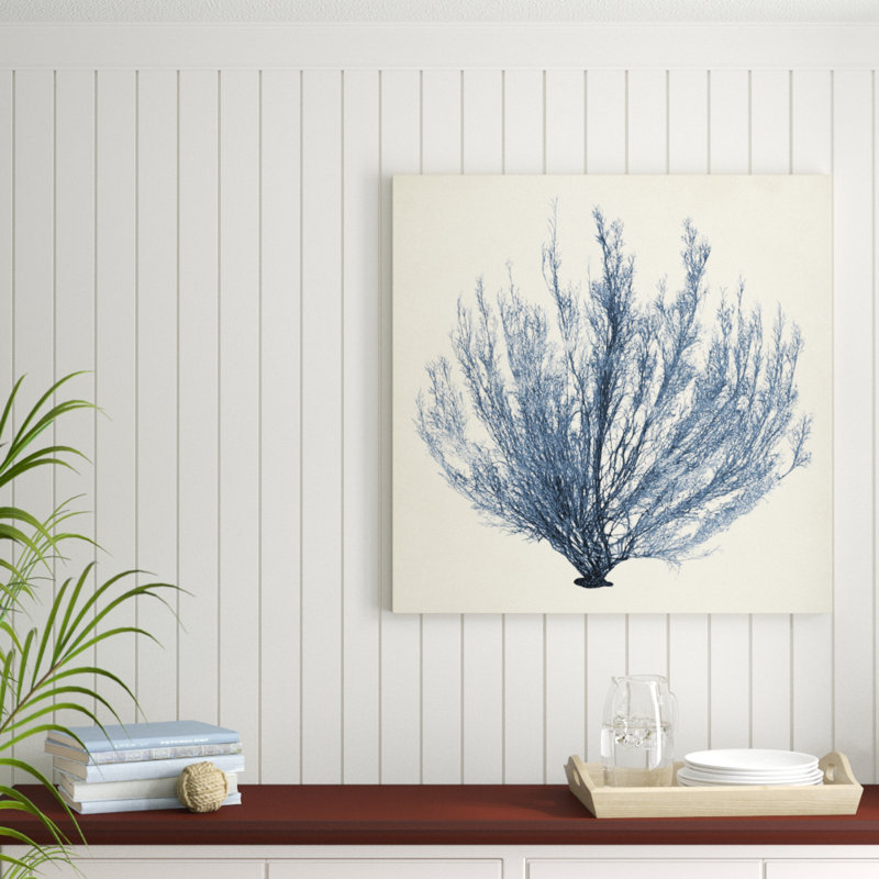 Coastal Seaweed III by Vision Studio - Wrapped Canvas Painting, 91cm H x 91cm W