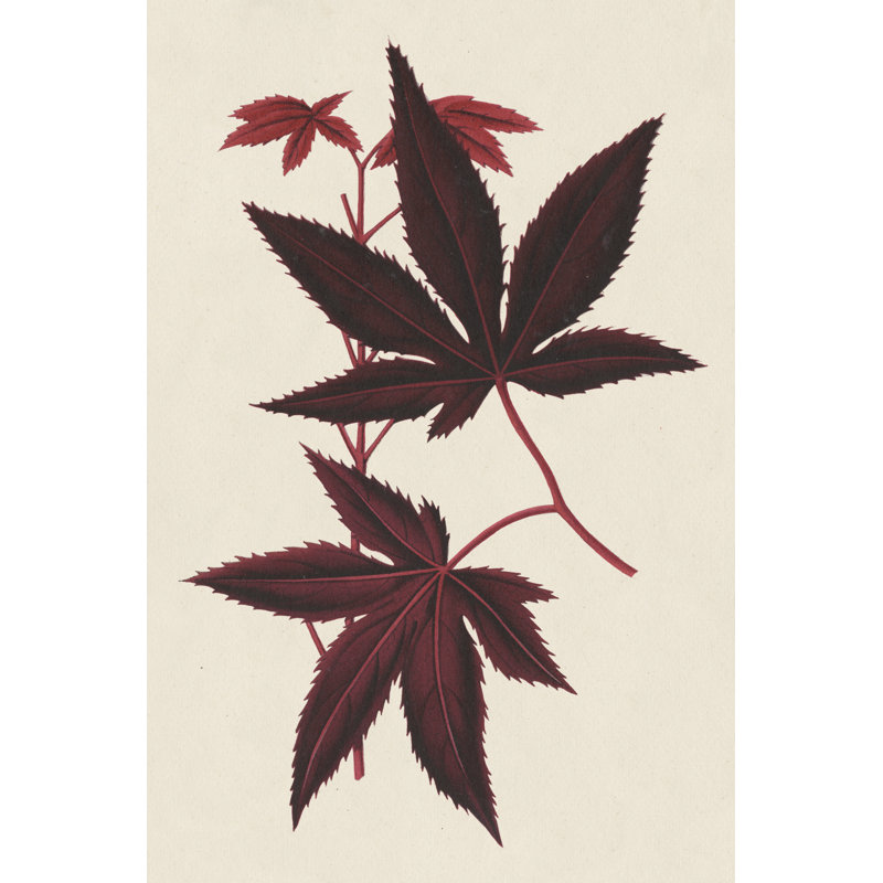 Feuilles d'érable japonaises I, H 18 po x l 12 po x P 1,25 po
