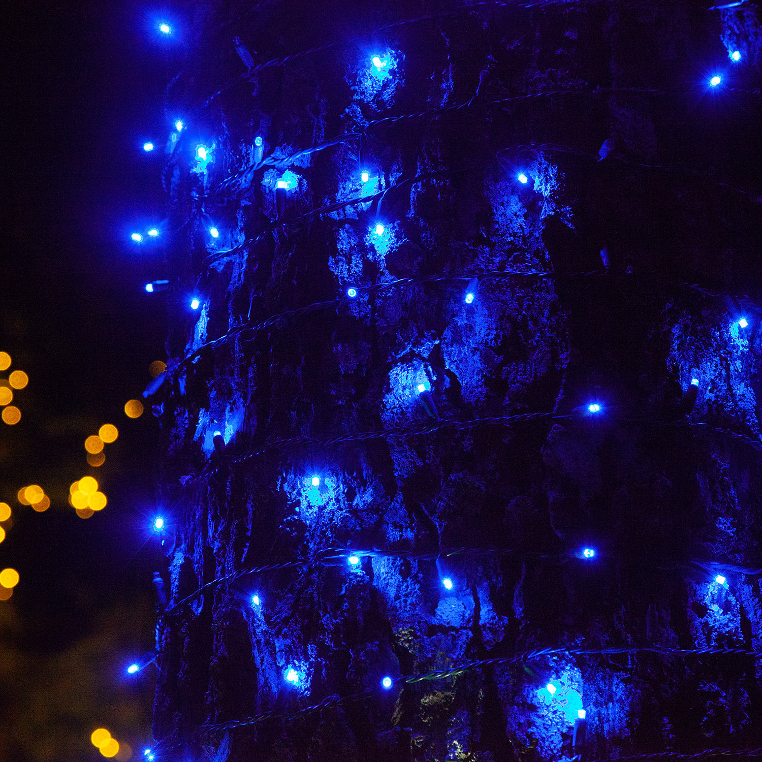 17' LED Twinkle String Lights, Blue