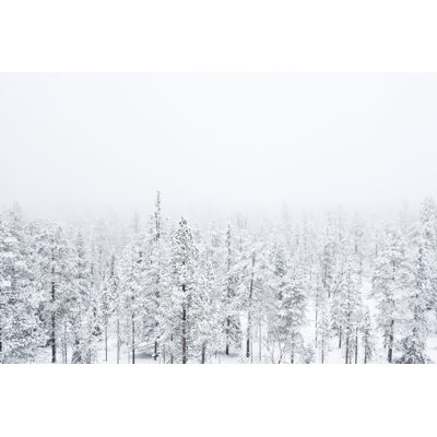 Snow Covered Forest by Tatu Lajunen - Wrapped Canvas Print
