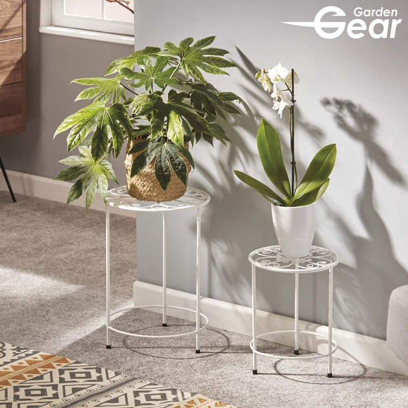 Shawn Plant Stand, White