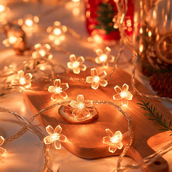 Indoor String Lights You'll Love | Wayfair