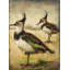 Duck Scene 1 Print