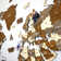 Wooden World Map Wall Art - 3D Wood Push Pin Maps - Multilayered 3D Wooden World Map