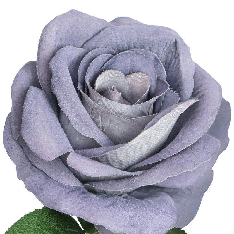 Velours rosier, Bleu gris