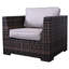 Carmel Rattan Wicker Fully Assembled 5 - Person Seating Group with Cushions