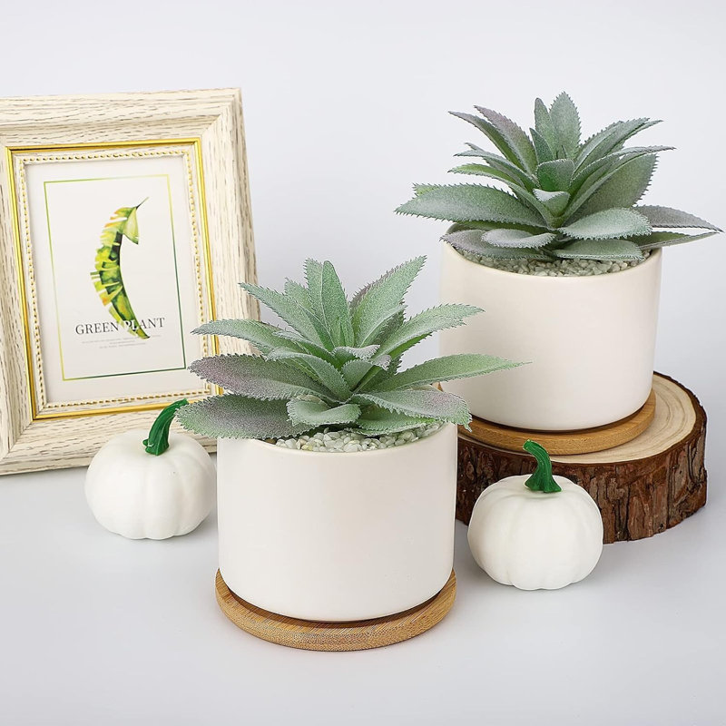 Ensemble de 2 plantes grasses artificielles dans des pots en céramique avec des plateaux en bambou