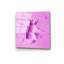 Boze Print on Glass