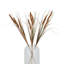 Anastasija Arrangement-1513130009