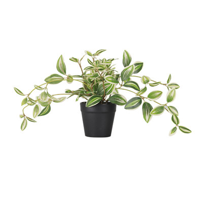 Plante artificielle rayée vert foncé