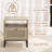 Adilia End Table with Storage