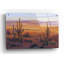 «Desert Light II» par Tim O'Toole, art mural en verre acrylique, 36 po x 24 po
